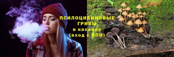 меф Медвежьегорск