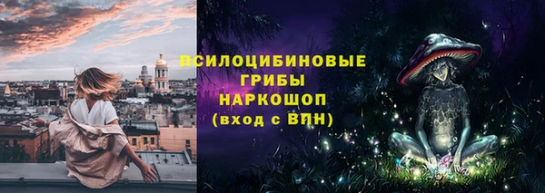 mdpv Михайловск
