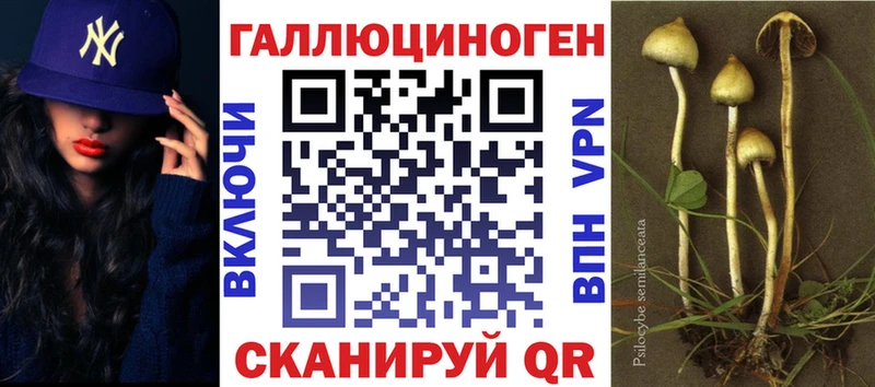 Псилоцибиновые грибы Psilocybine cubensis  Усть-Катав 